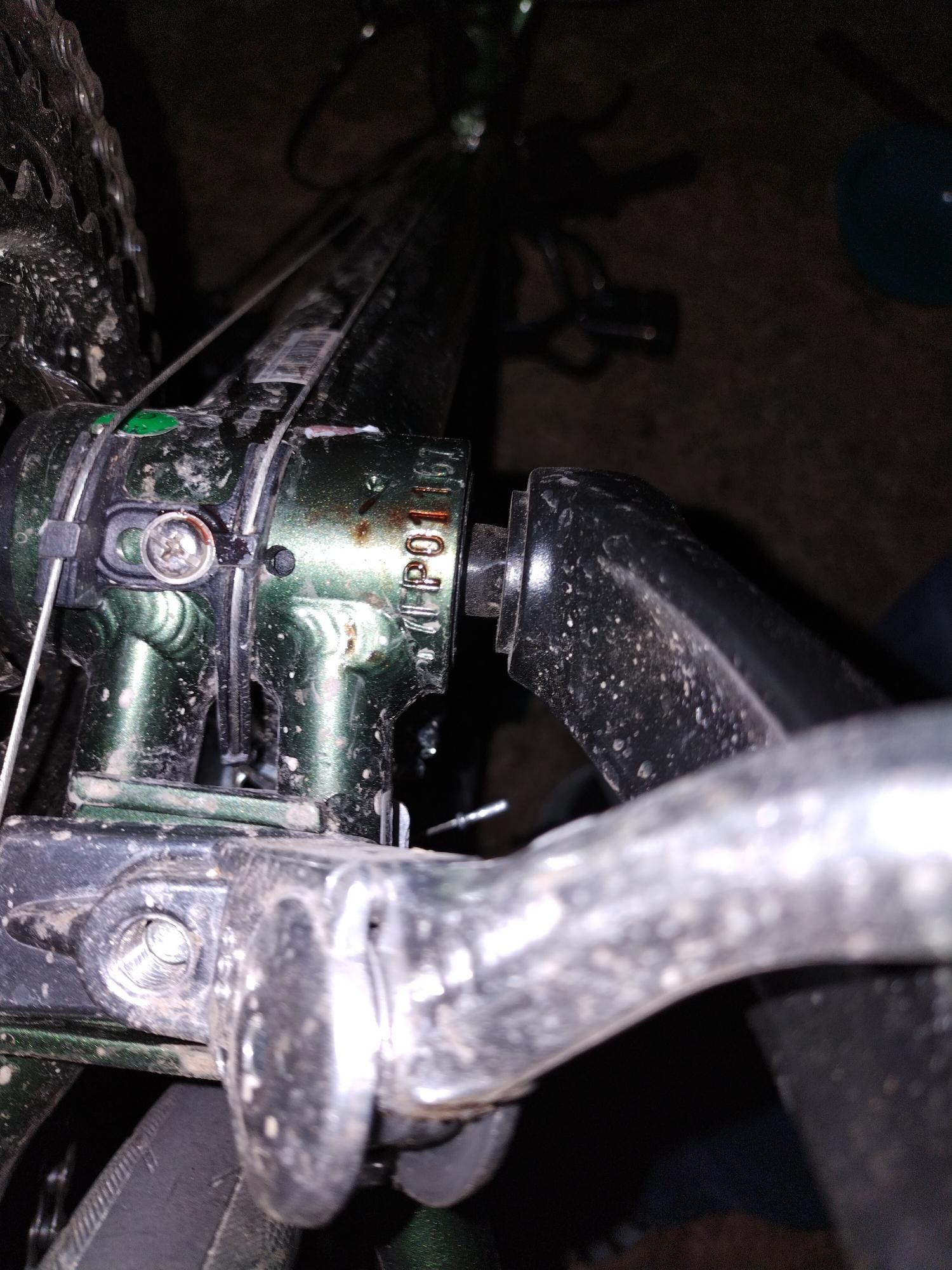 2021 Giant Escape Green