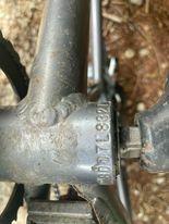 Mongoose Paver Silver, gray or bare metal