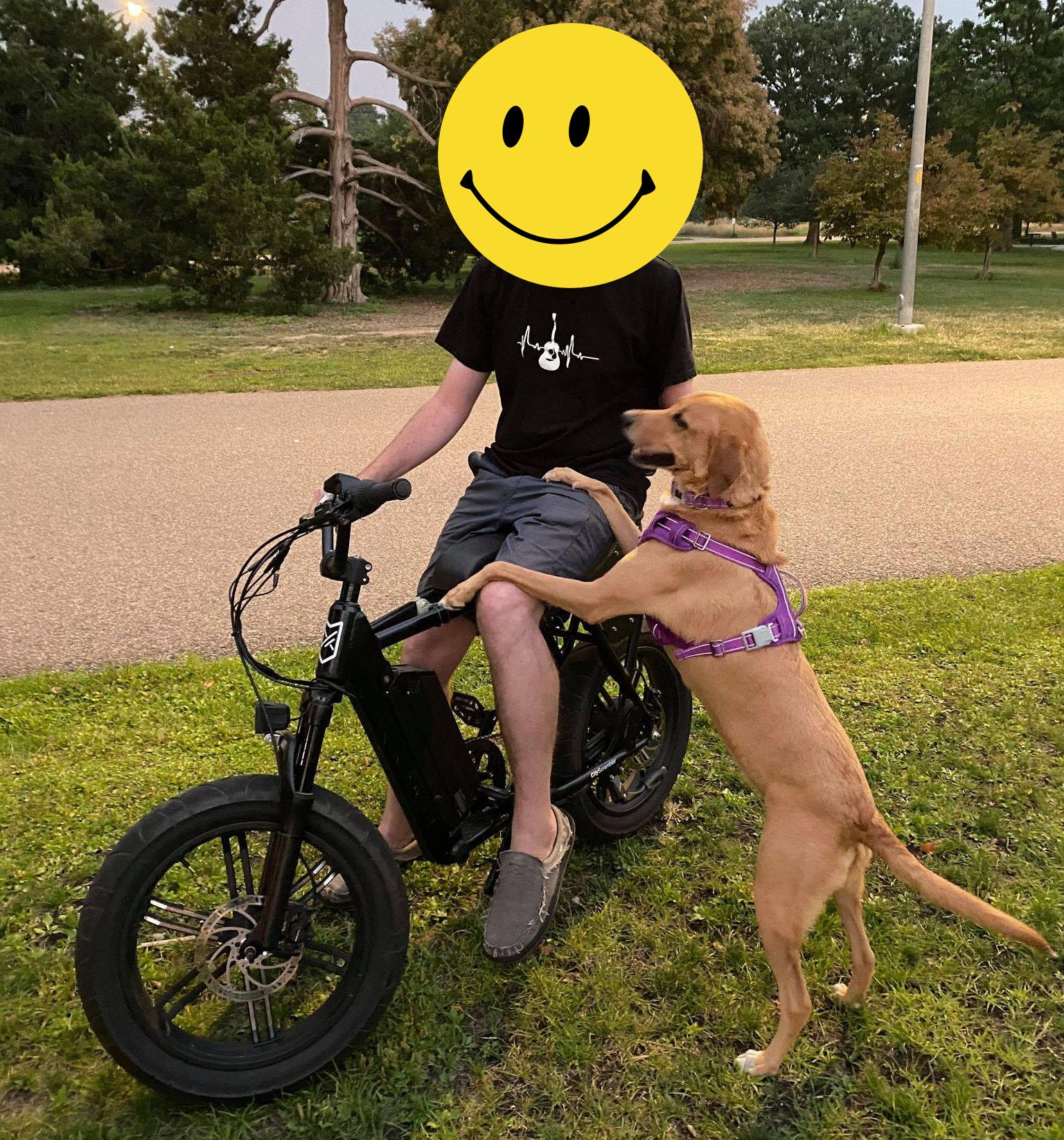 Juiced Bikes Scrambler Black