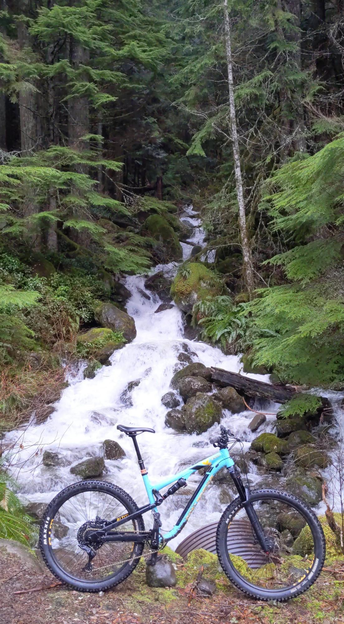 2020 Rocky Mountain Bicycles Altitude Alloy Blue