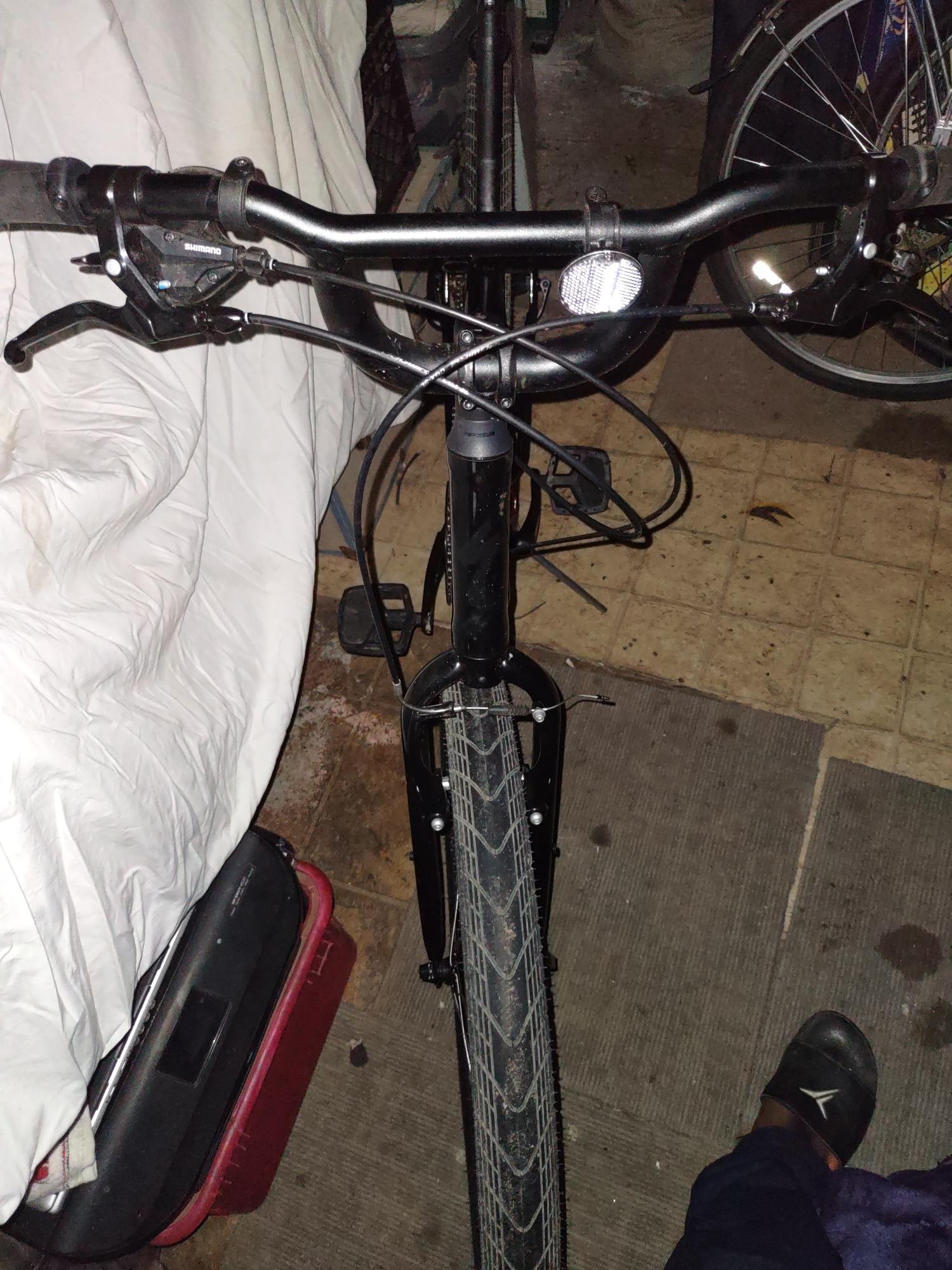 2019 Specialized Roll Black