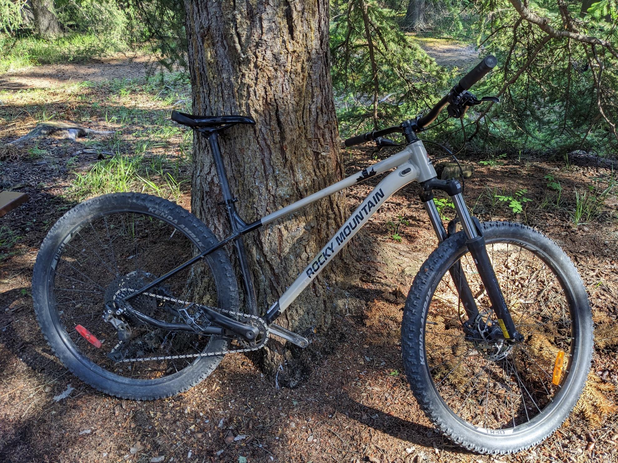 2021 Rocky Mountain Bicycles Growler 20 Silver, gray or bare metal