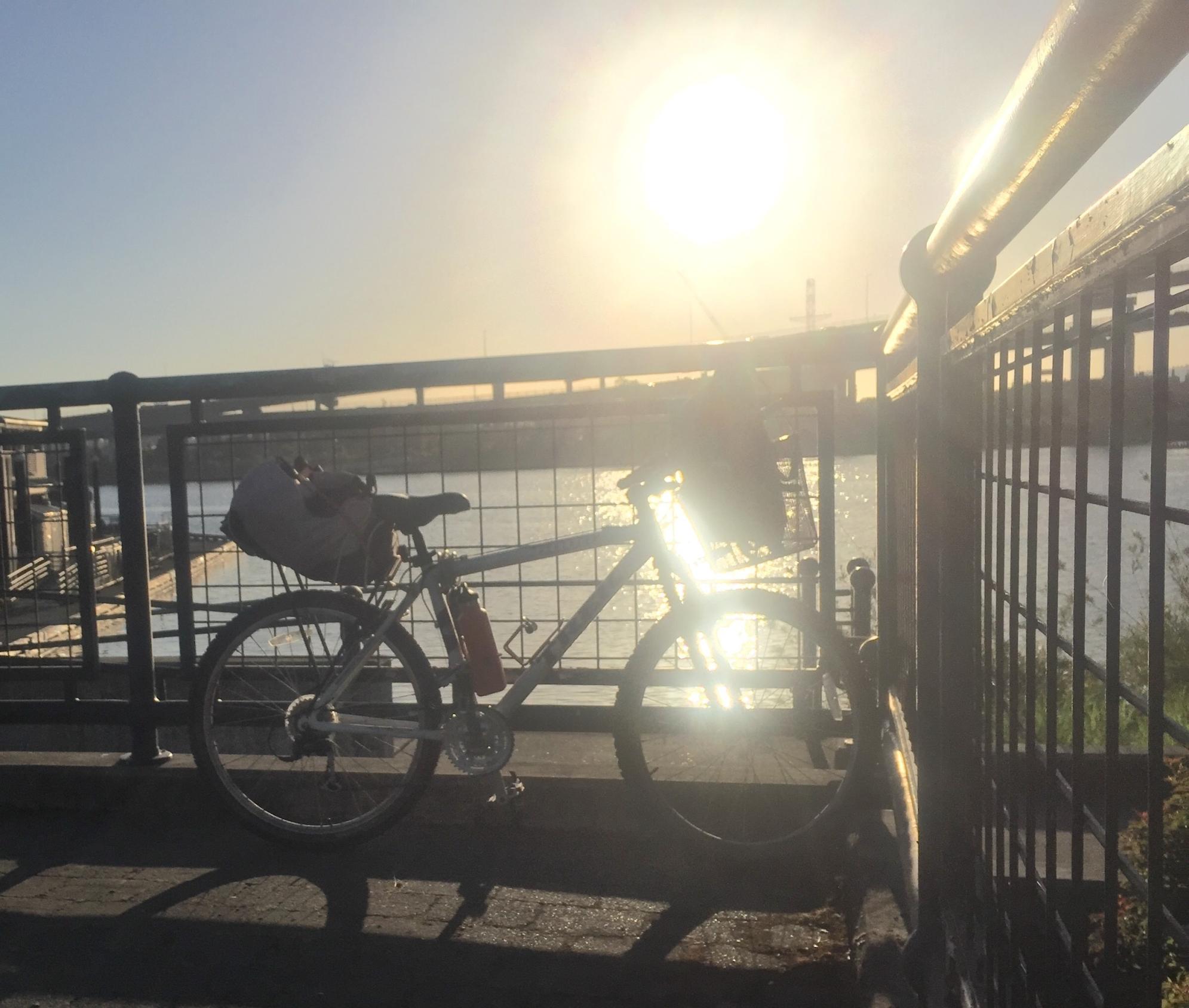 2008 Trek 6000 White