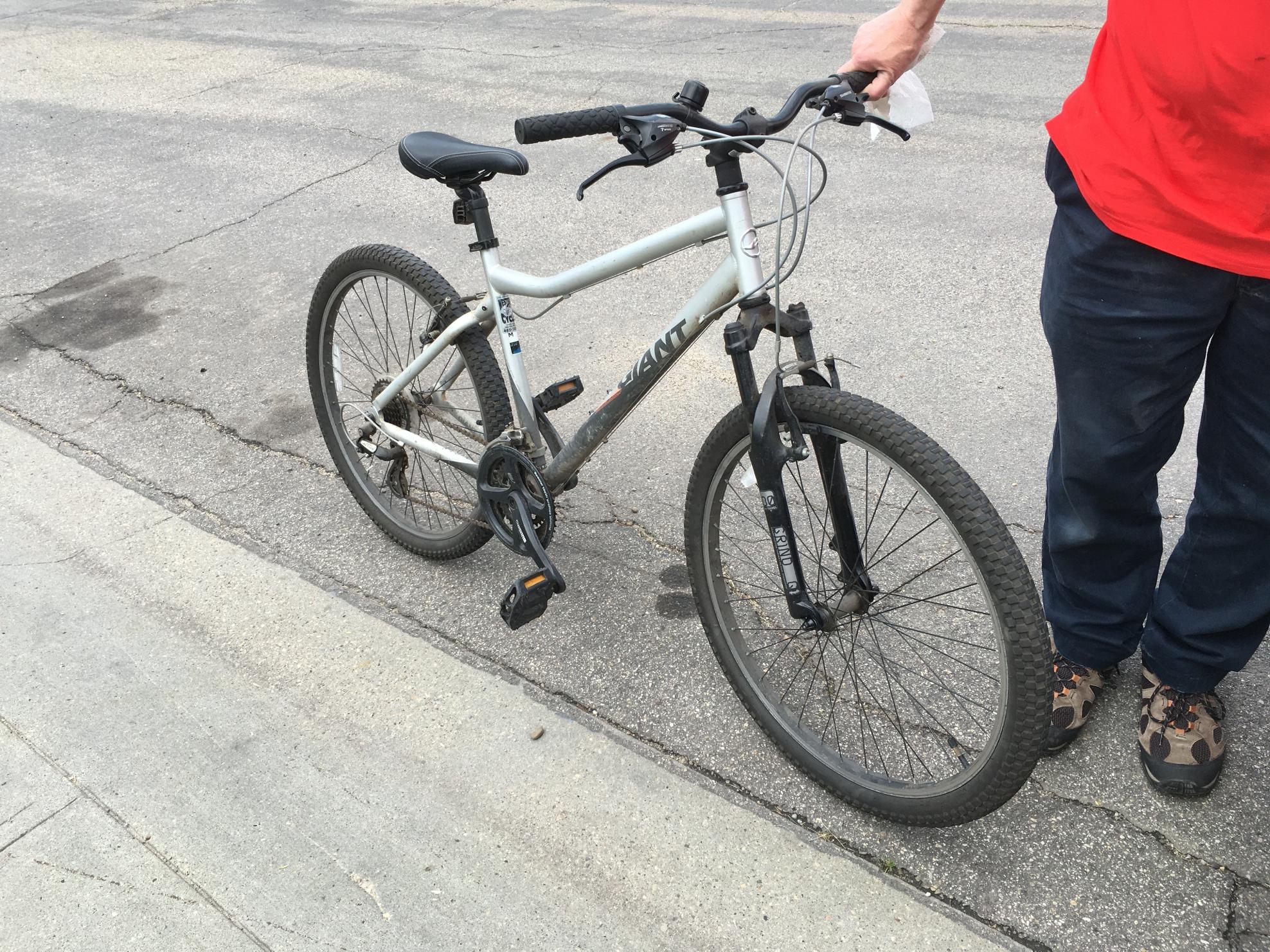 Giant Boulder Silver, gray or bare metal