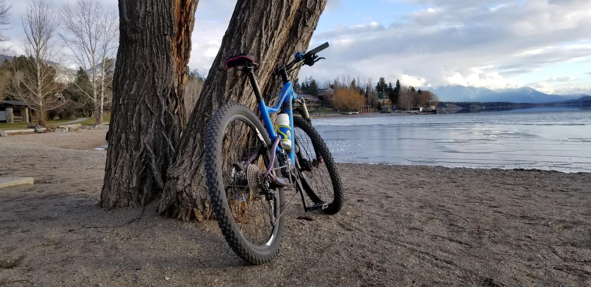 2014 Giant Small Blue and Purple