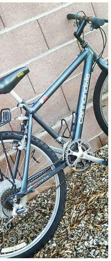 Cannondale Silver or Gray