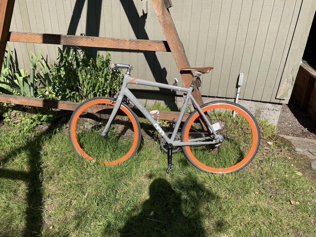 2009 Trek District Silver, gray or bare metal