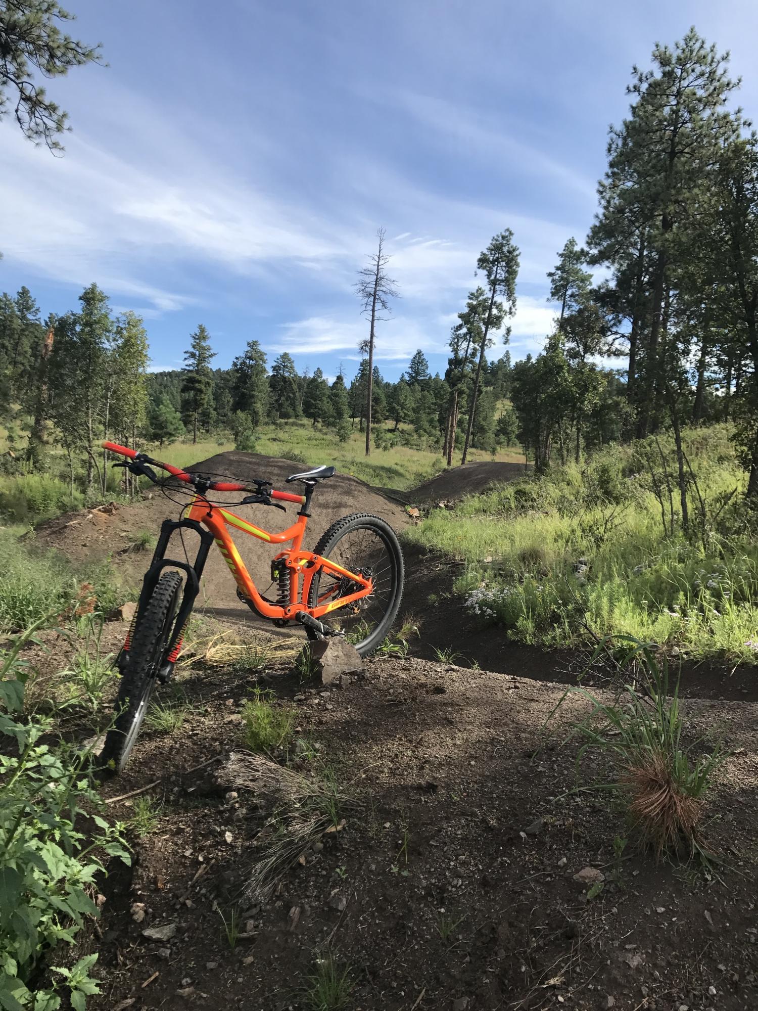 2018 Giant Reign Orange