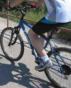 2009 Trek 820  Blue