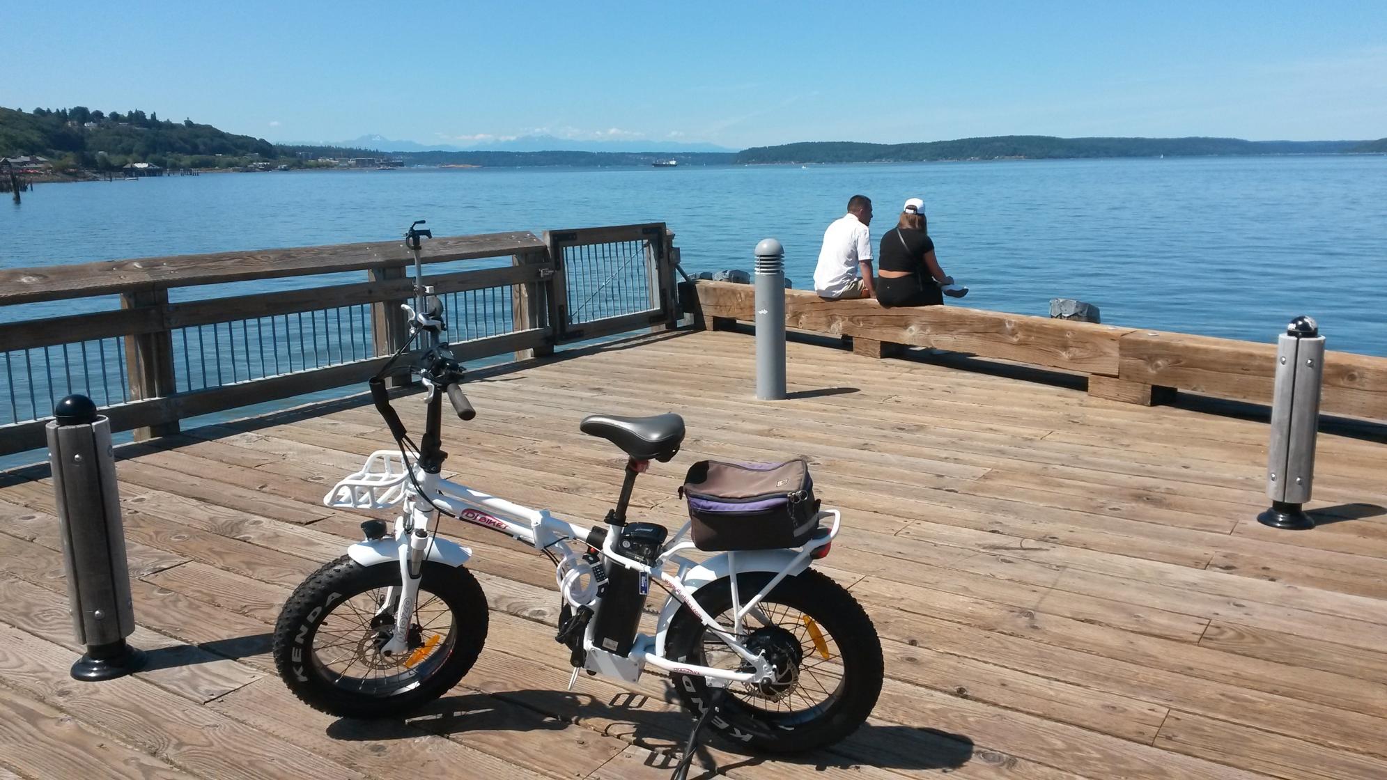 2019 DJ Bikes Folding White