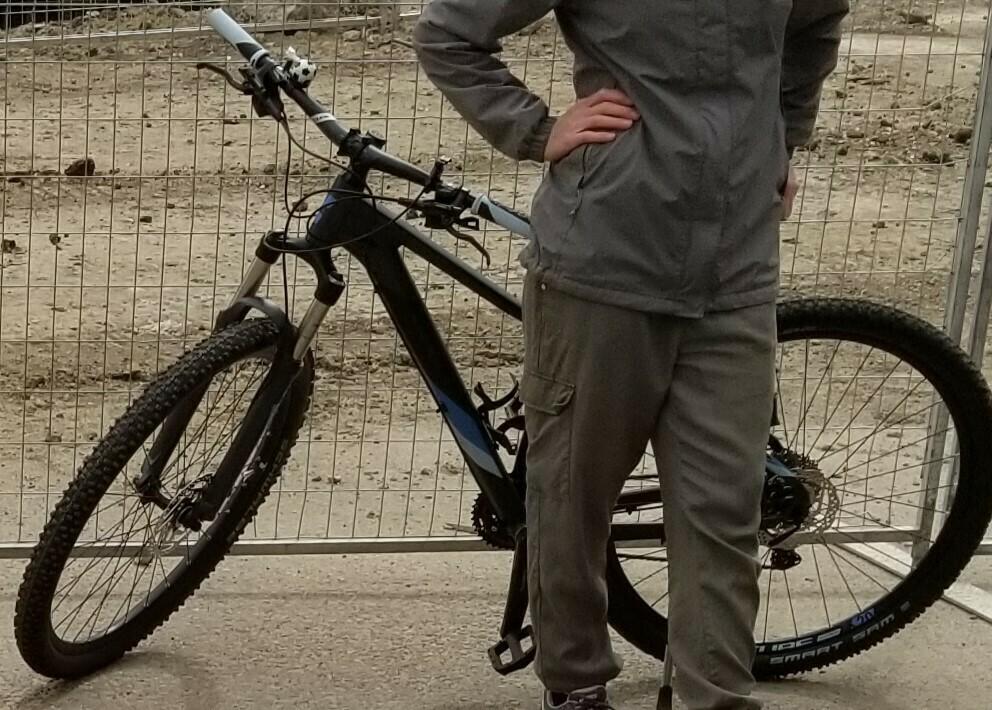 2019 Cube Access WS Race 29 Silver, gray or bare metal and Blue