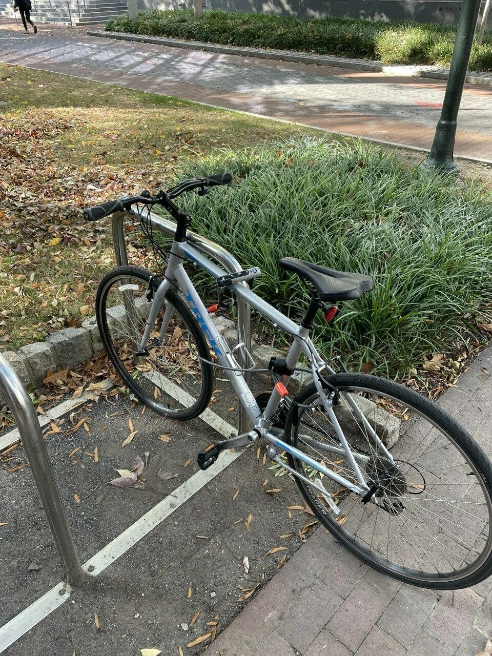2019 Trek FX 1 SL Silver, gray or bare metal