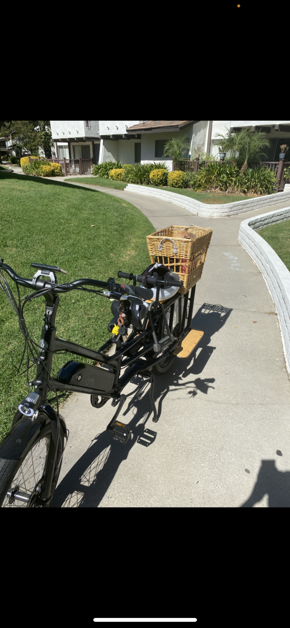 2020 Rad Power Bikes Rad Wagon 4 cargo bike (rear storage) Black