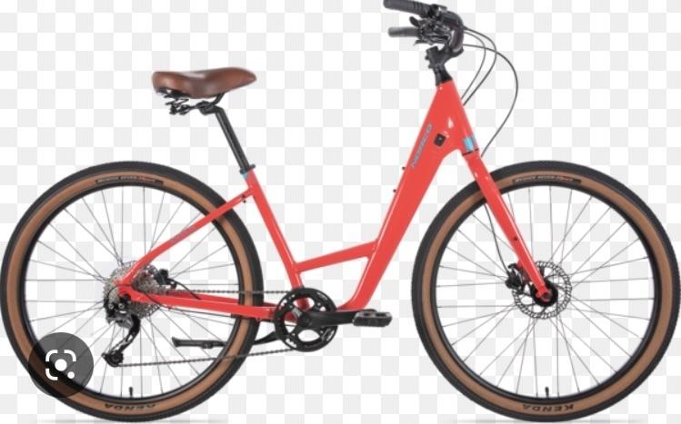 2020 Norco Bikes Scene women’s small Orange