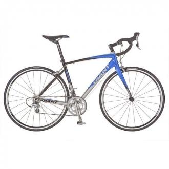 2010 Giant  Black