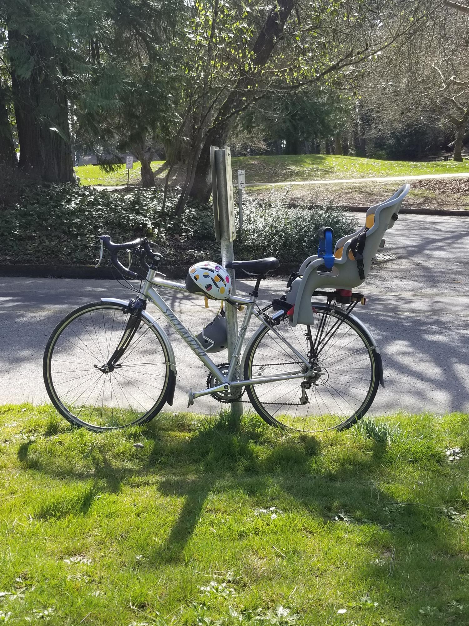 Specialized Sequoia Silver, gray or bare metal