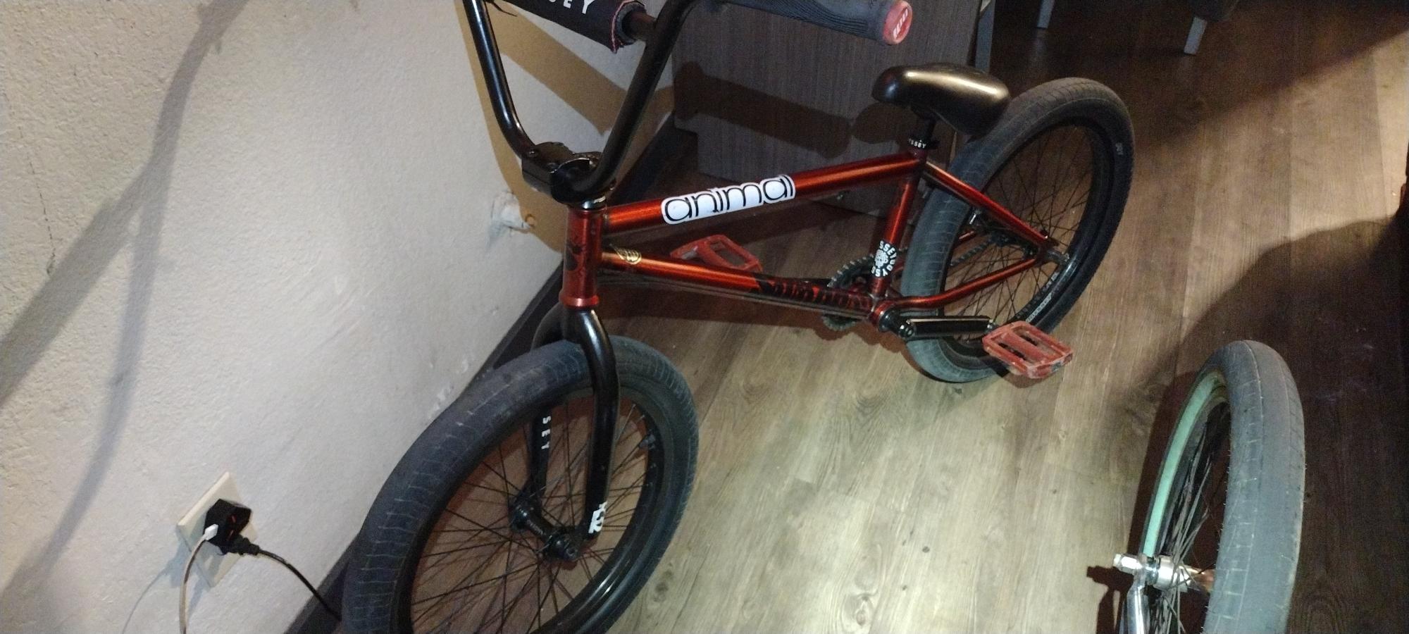 2023 Sunday EX207 Red and Black