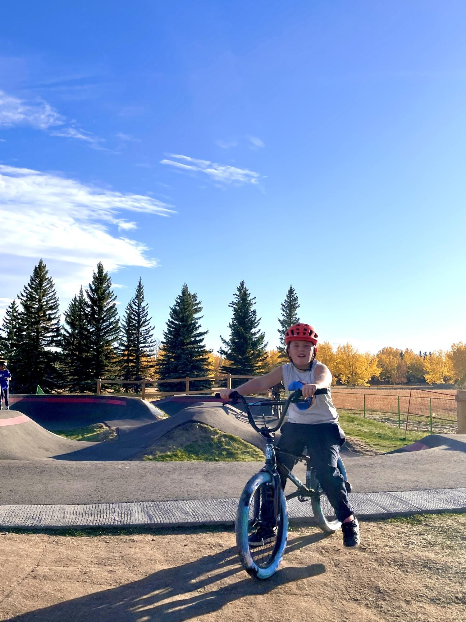 2021 DIG BMX Fiction Blue