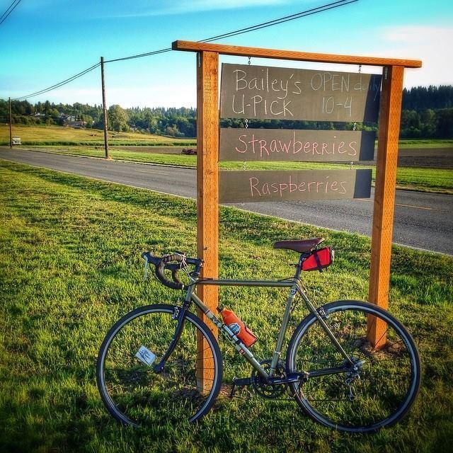 2011 Masi Speciale CX Uno Green