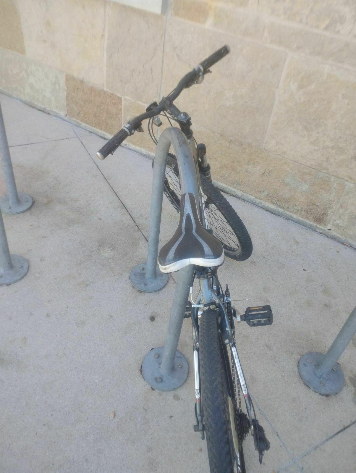 2024 Trek Silver, gray or bare metal