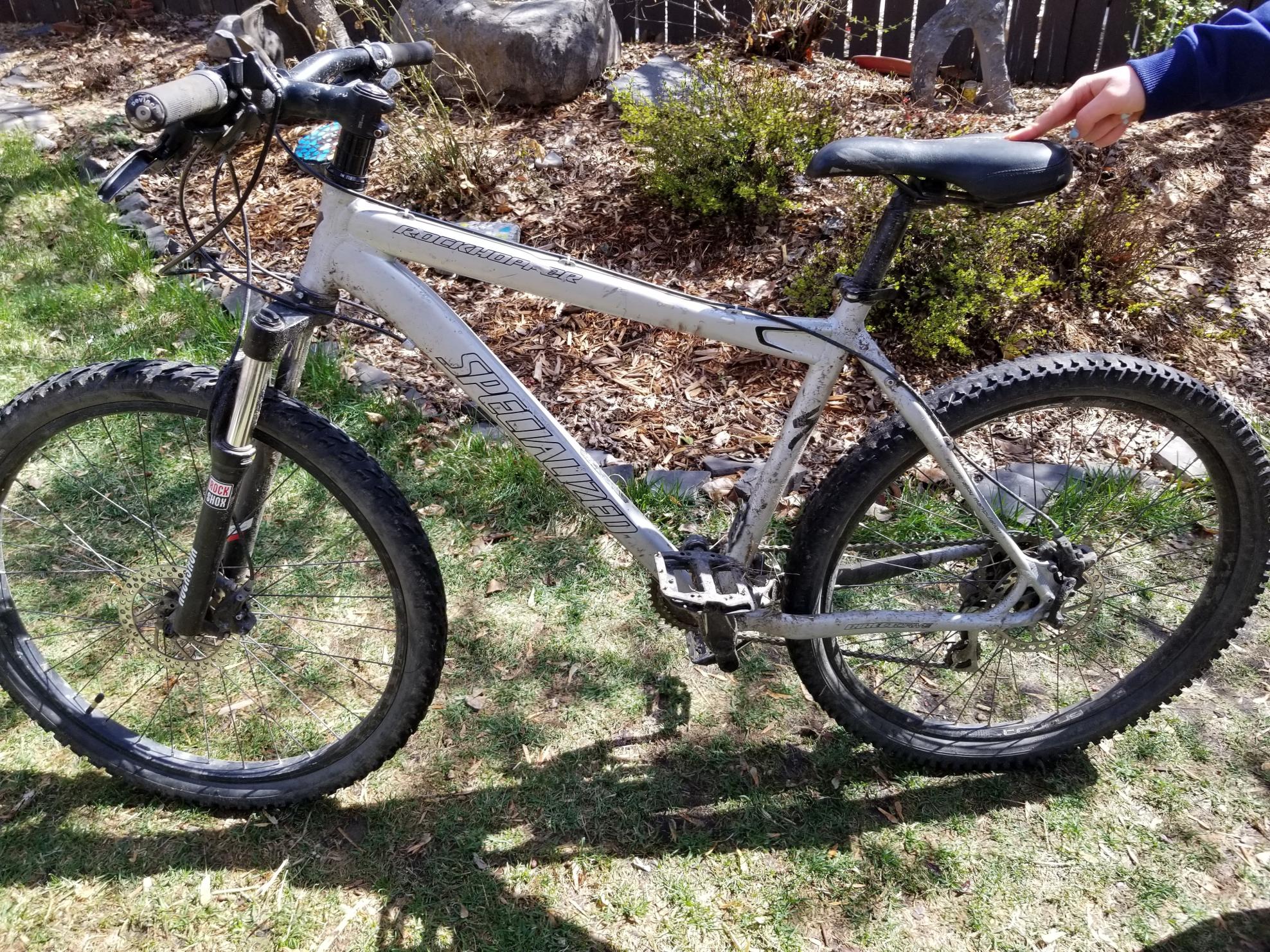 Specialized Rockhopper Silver, gray or bare metal