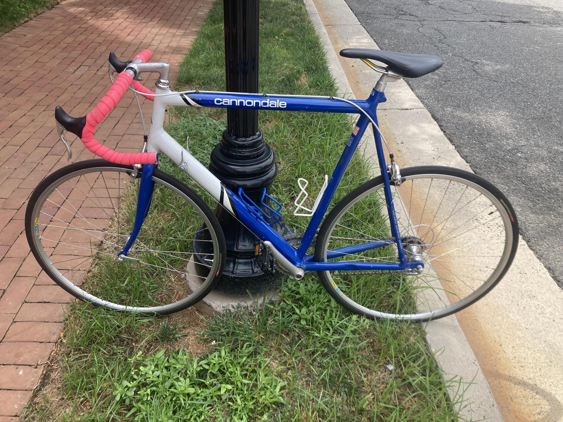Cannondale Blue and White