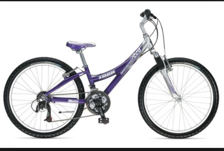 Trek MT 220 Purple