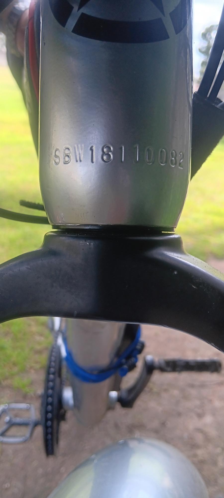 Rad Power Bikes Recon Silver, gray or bare metal