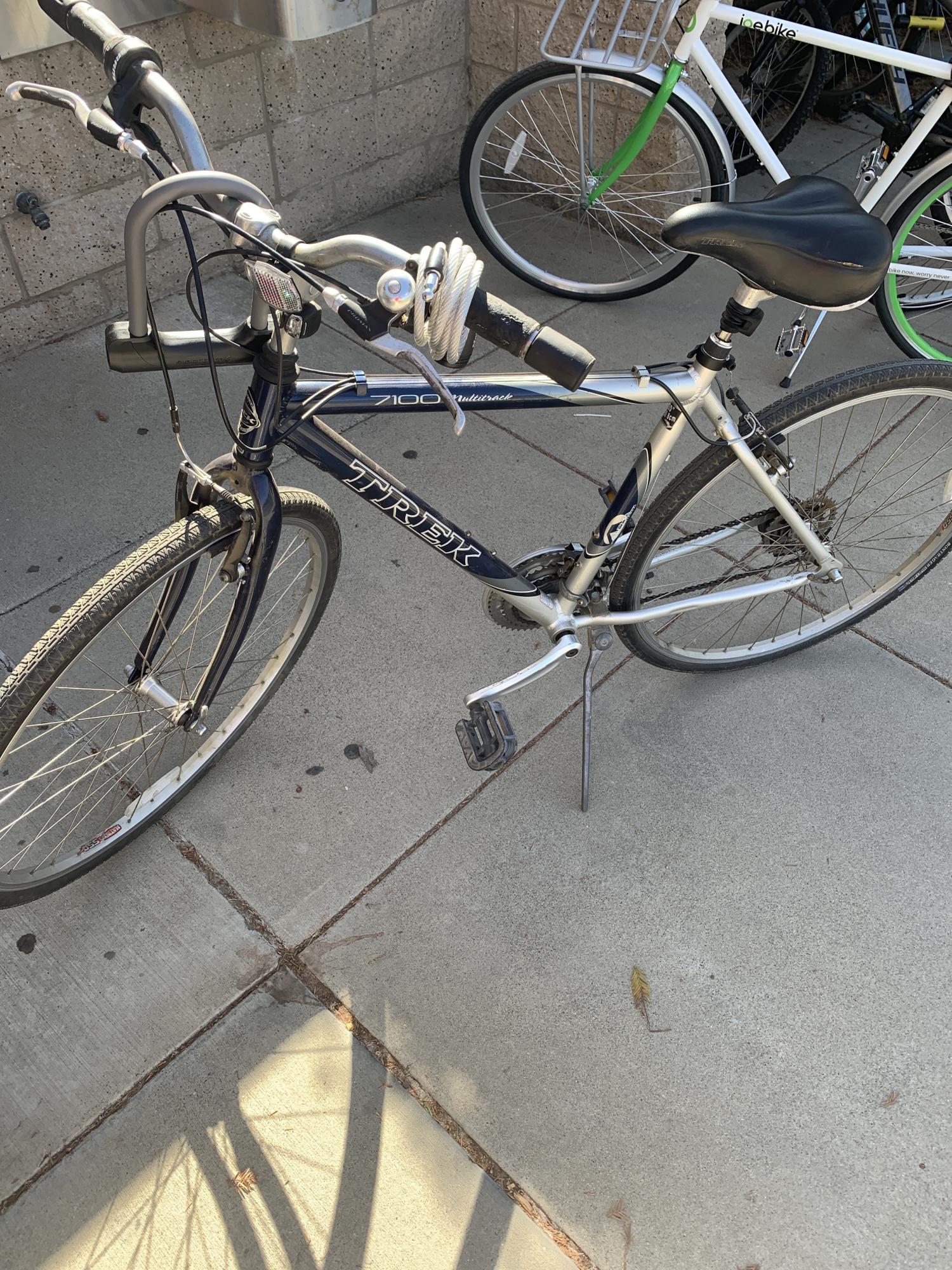 2021 Trek Silver, gray or bare metal