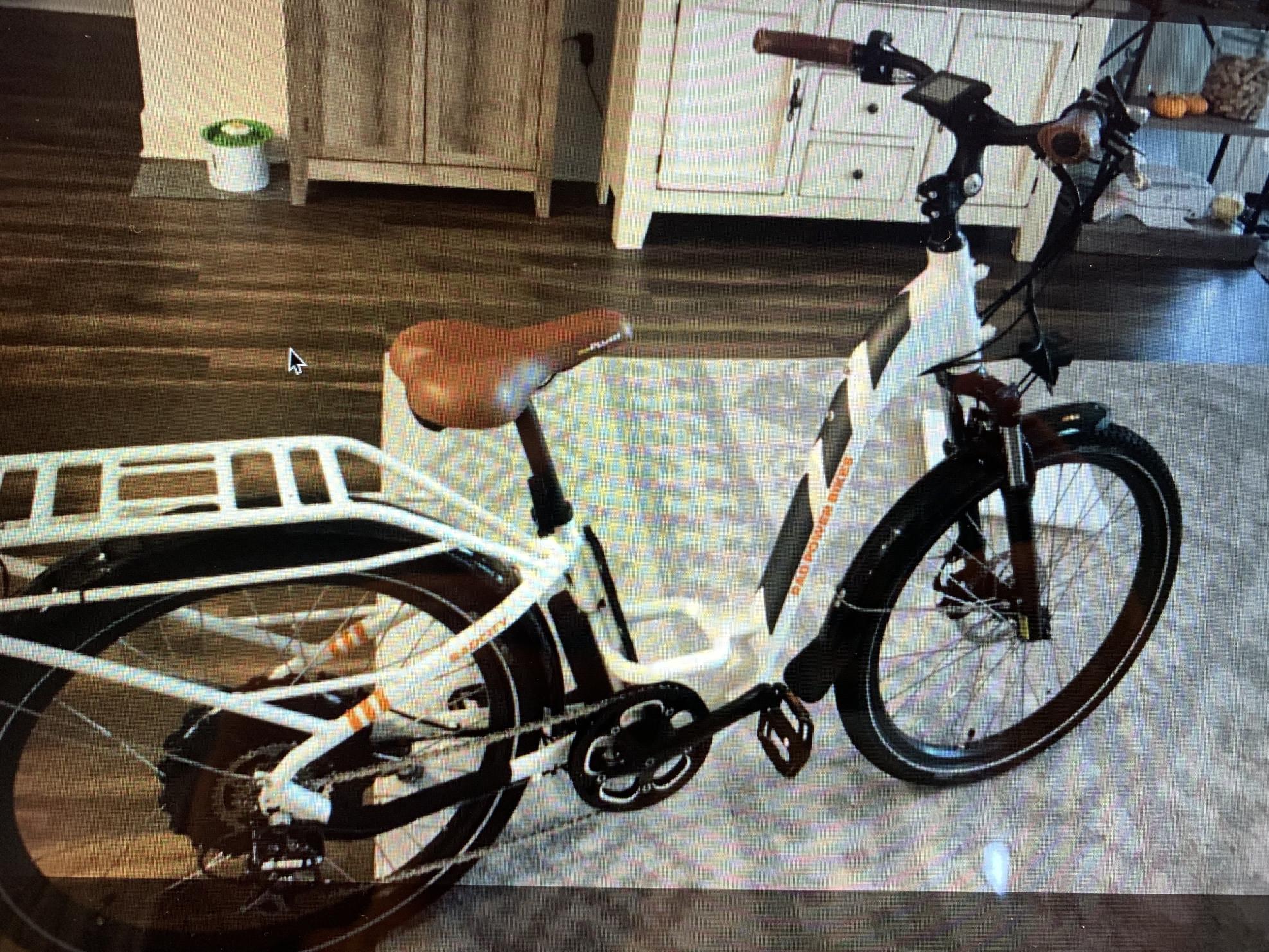 2019 Rad Power Bikes JB-TDF30Z White