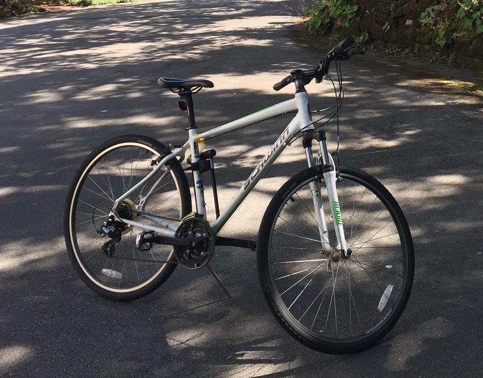 Schwinn Searcher White and Green
