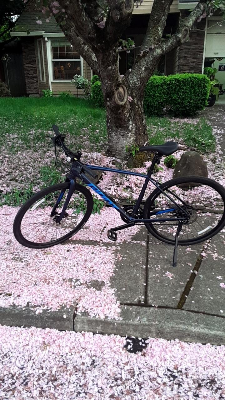 2020 Giant Escape 2 DISC Blue