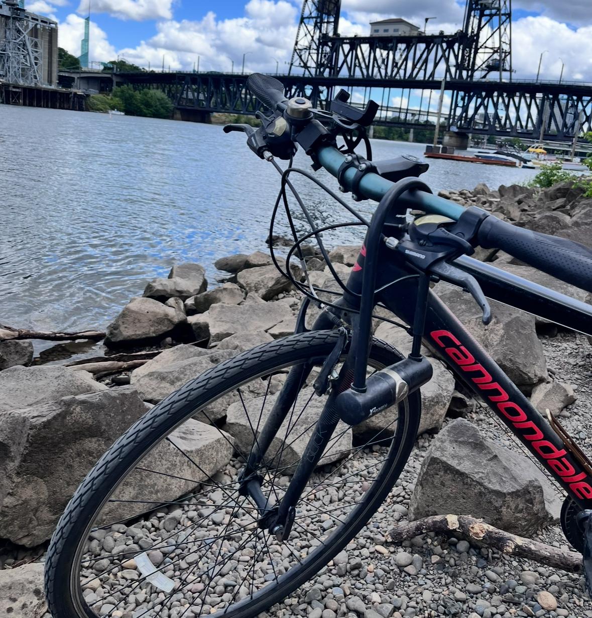 Cannondale Black