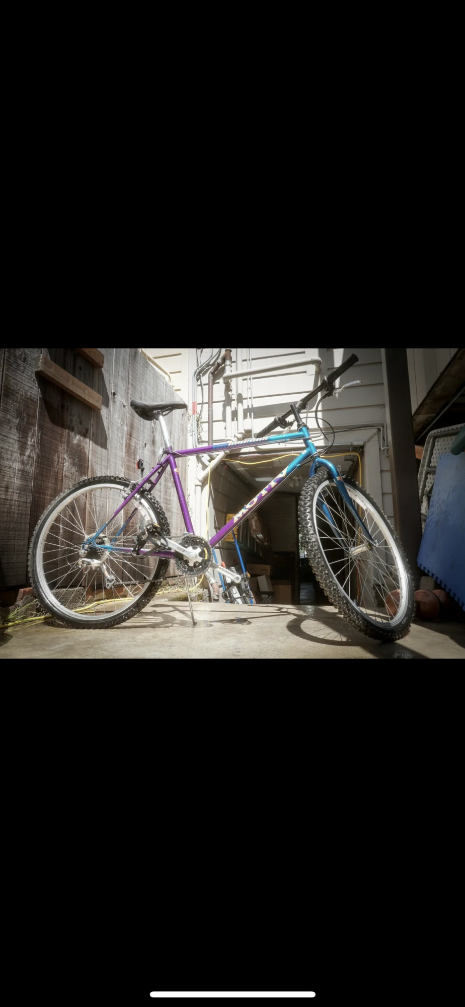 Motiv Groundpounder Purple and Teal