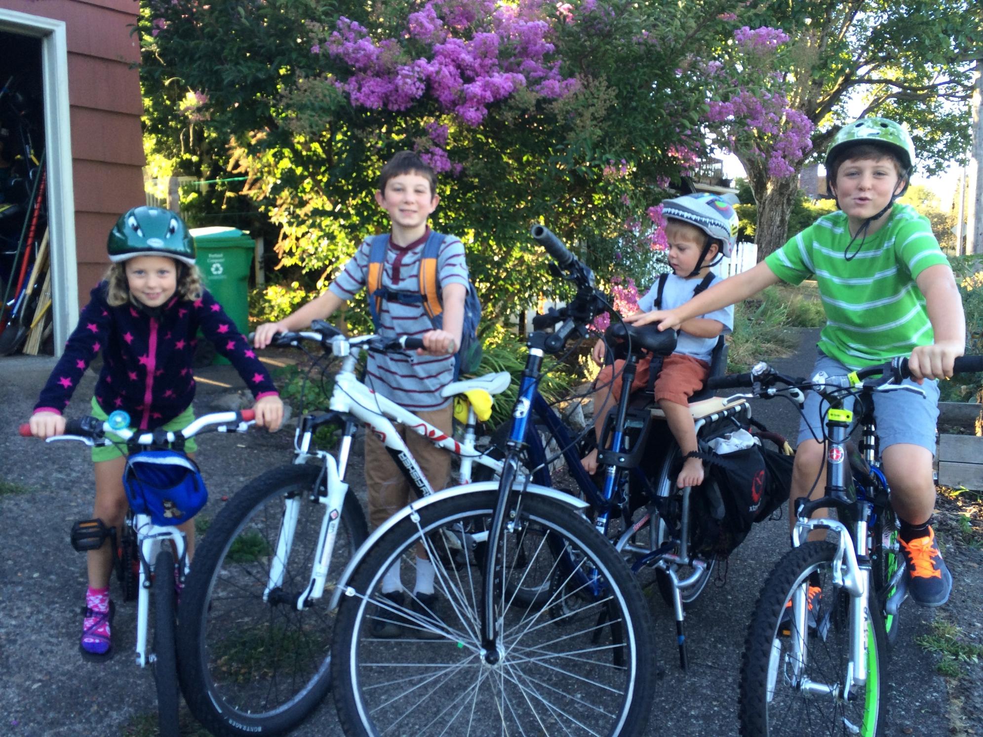 Gary Fisher Genesis White and Red