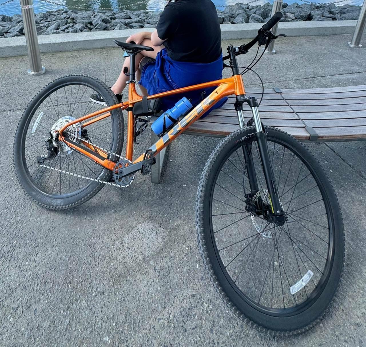 2023 Trek Yellow or Gold