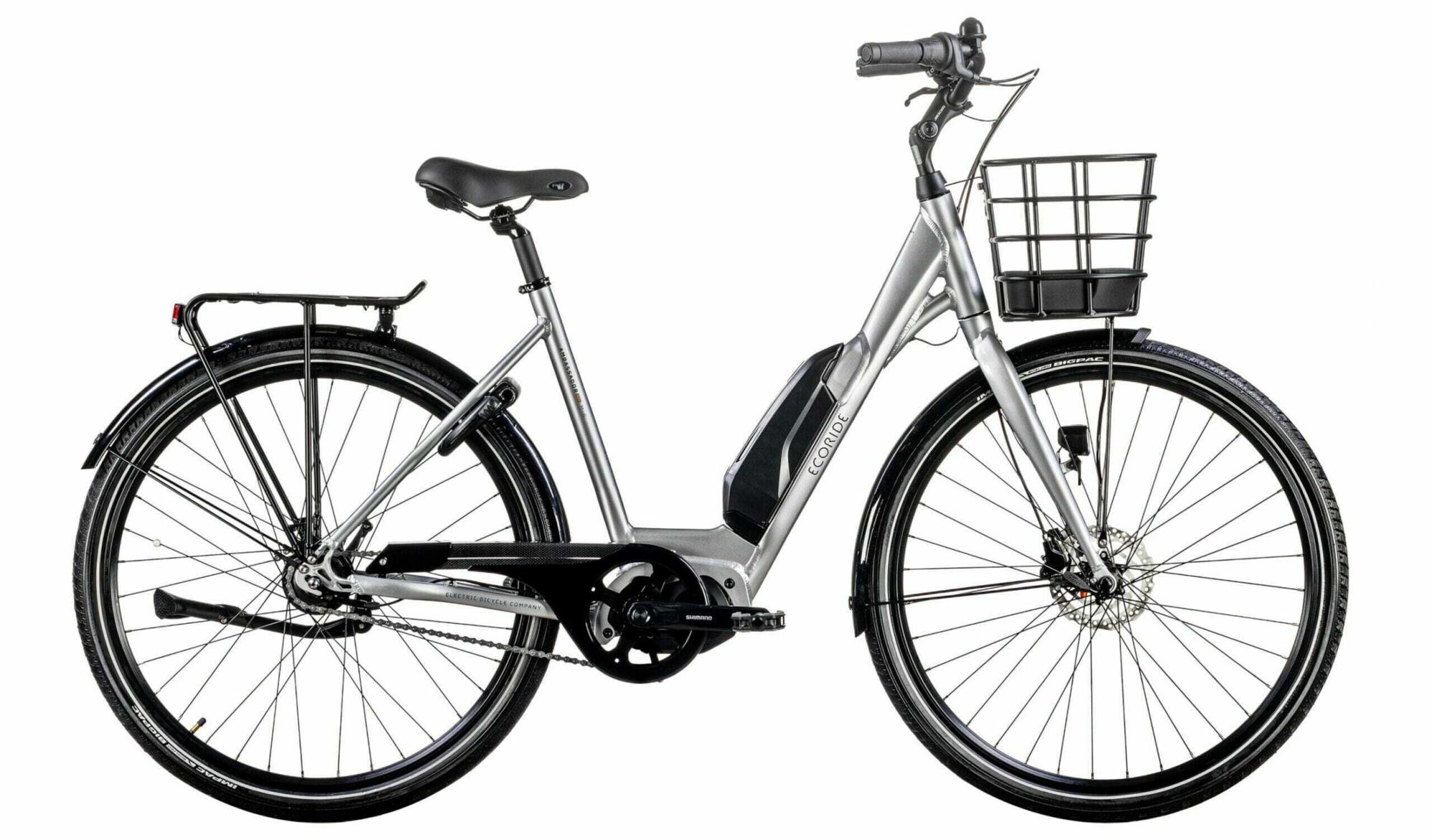 2023 Eco Ride Ambassador Silver, gray or bare metal