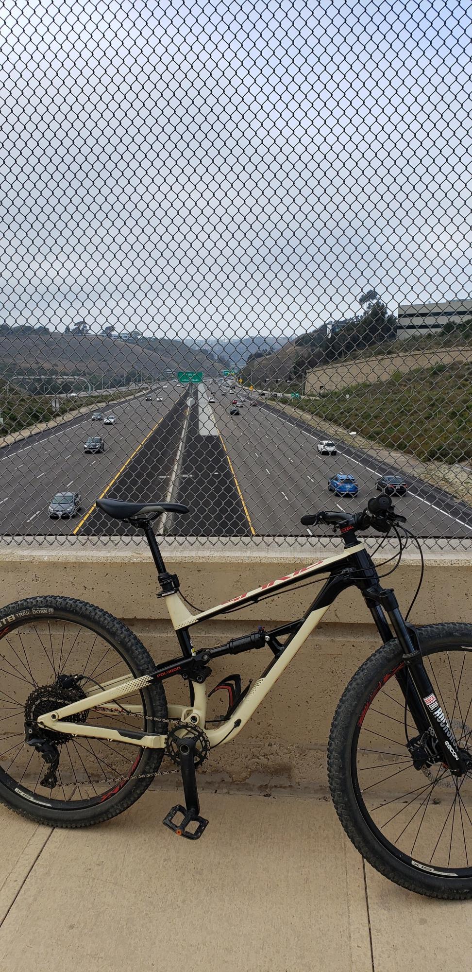2020 Polygon Siskiu D7 Brown