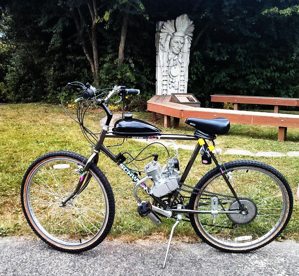 Schwinn Impact Silver or Gray