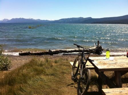 2009 Cannondale moto  Black