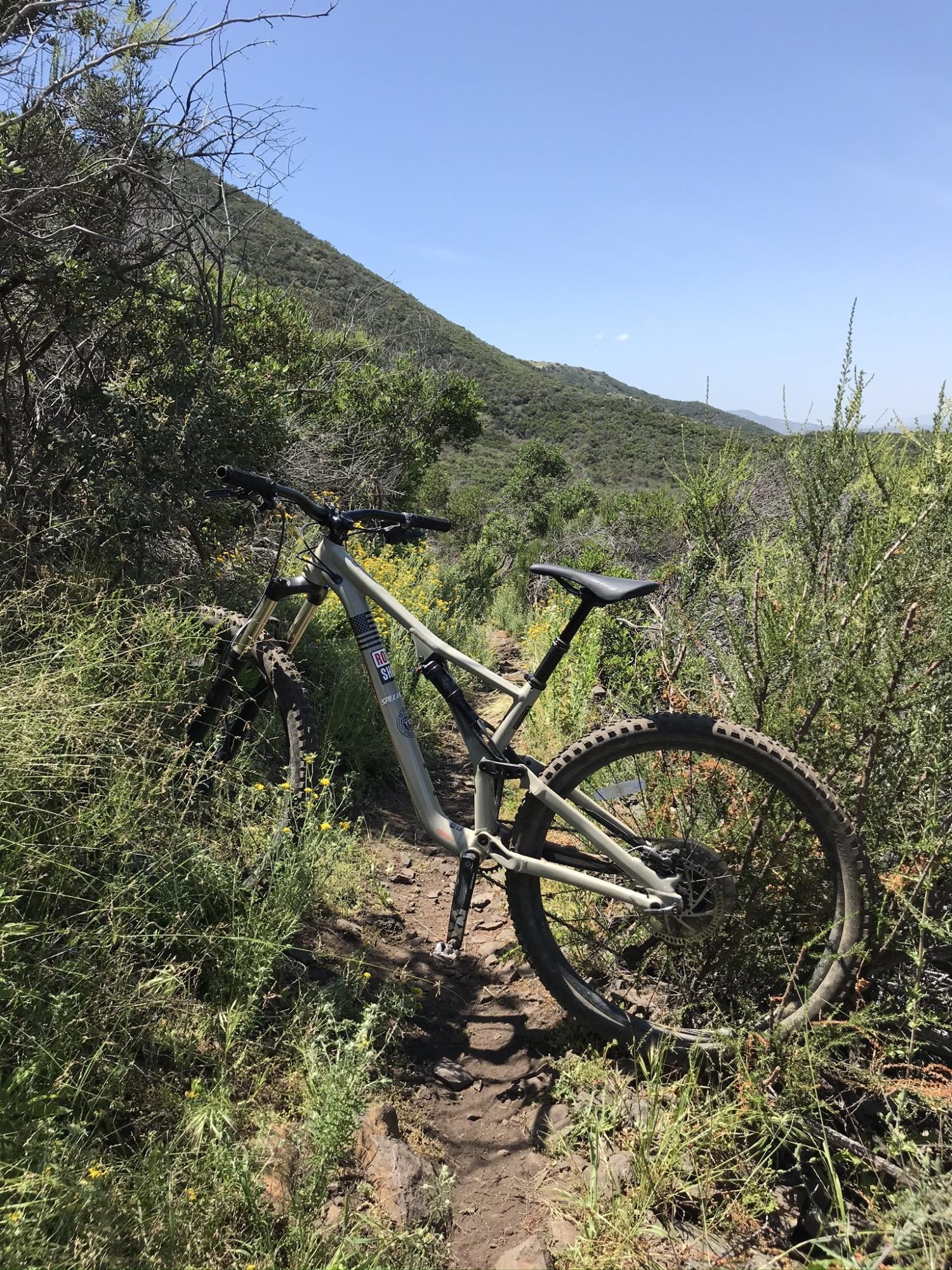 Specialized Stumpjumper FSRxc Brown