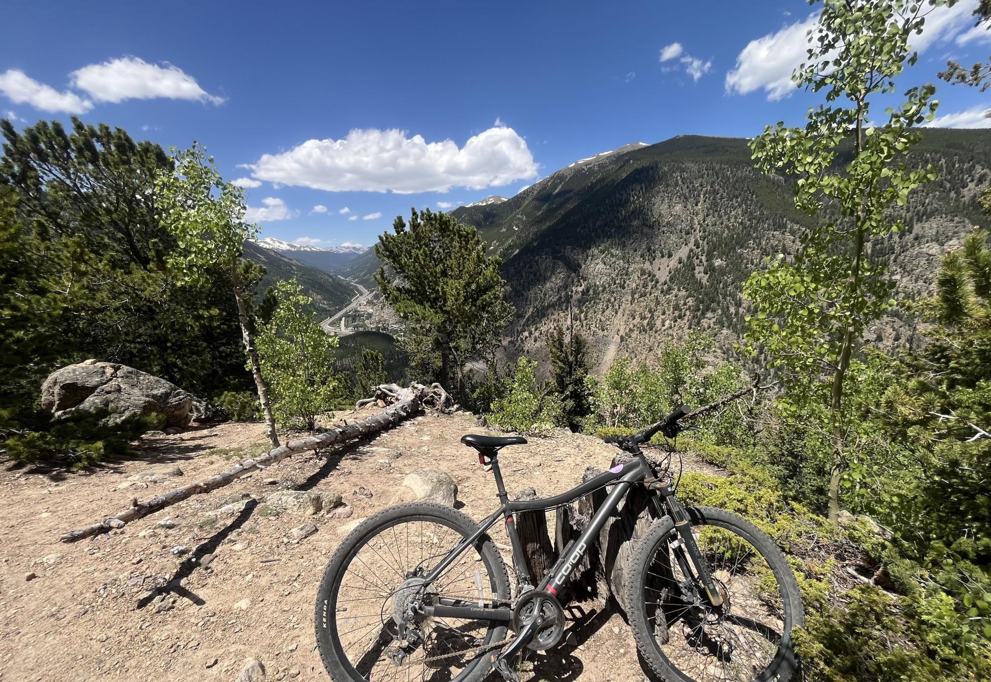 REI Co-op DRT 1.1 Black