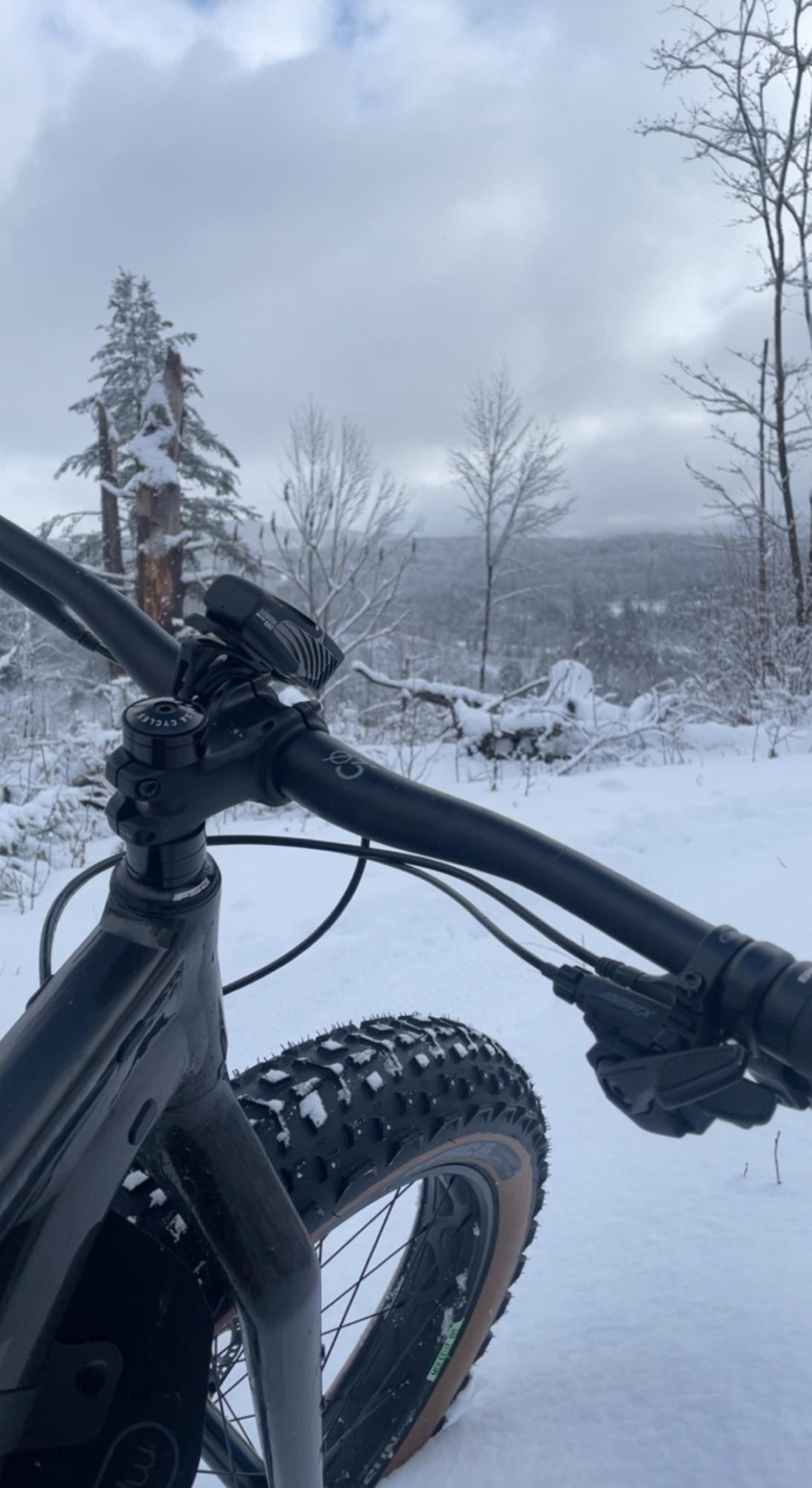 2021 Salsa Mukluk Black