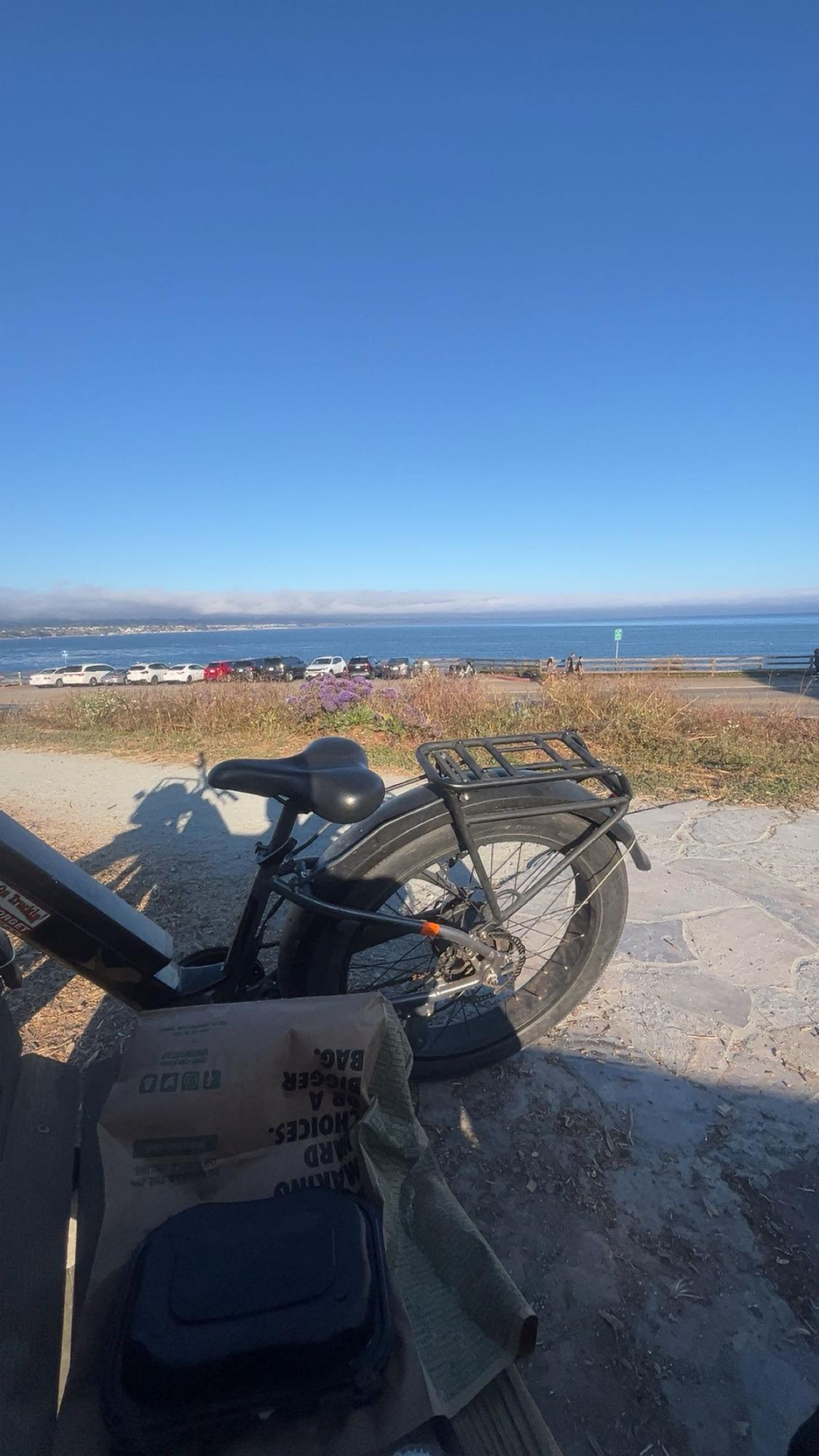 2022 Rad Power Bikes RadRover™ 6 Plus Electric Fat Tire Bike Black