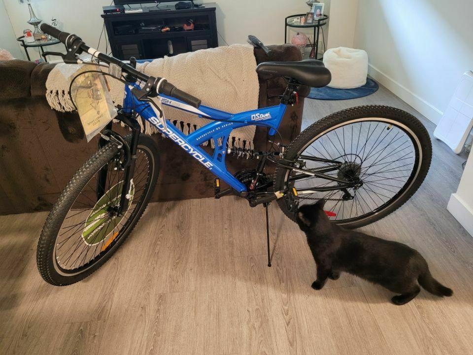 Supercycle Cantilever Blue