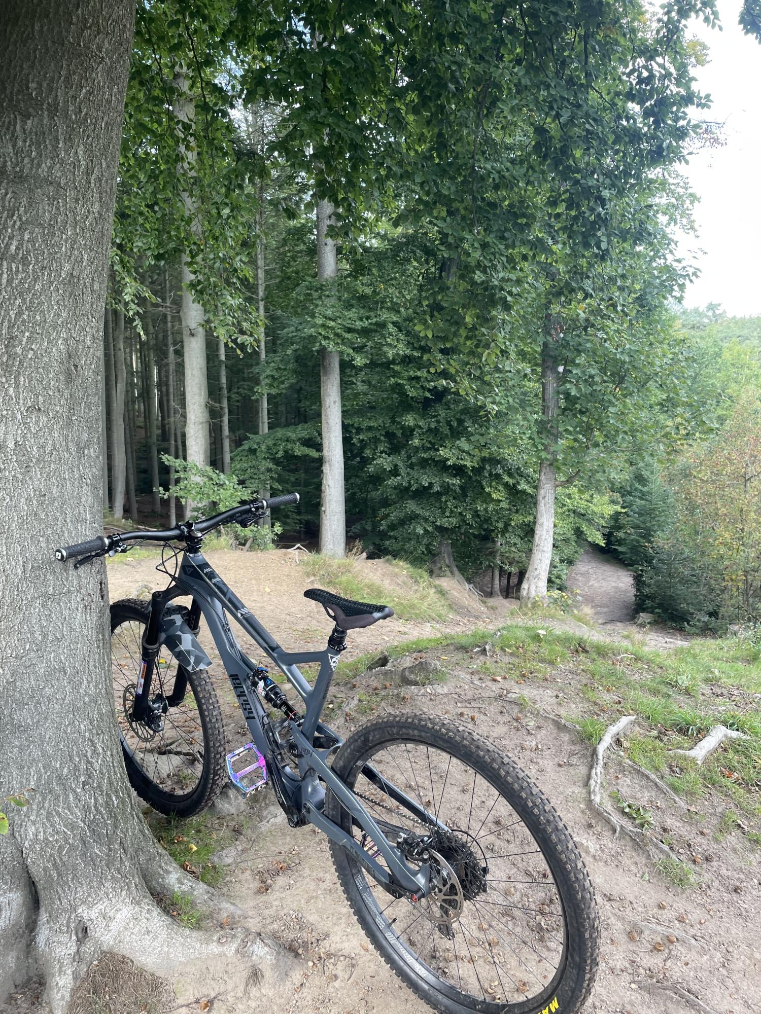 2018 YT Jeffsy CF Silver, gray or bare metal