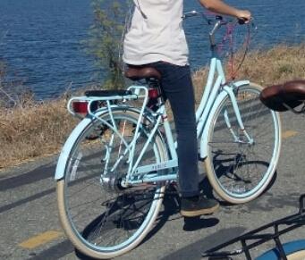 2016 PUBLIC bikes C7i Blue