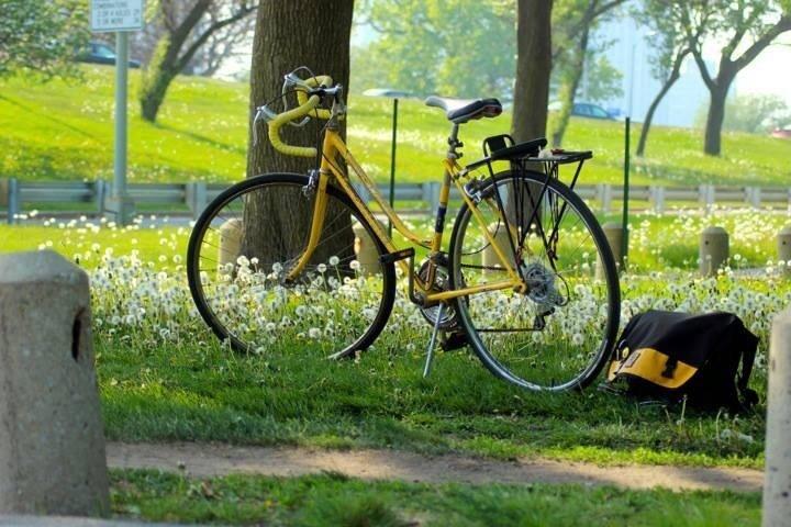 1974 Schwinn  Black
