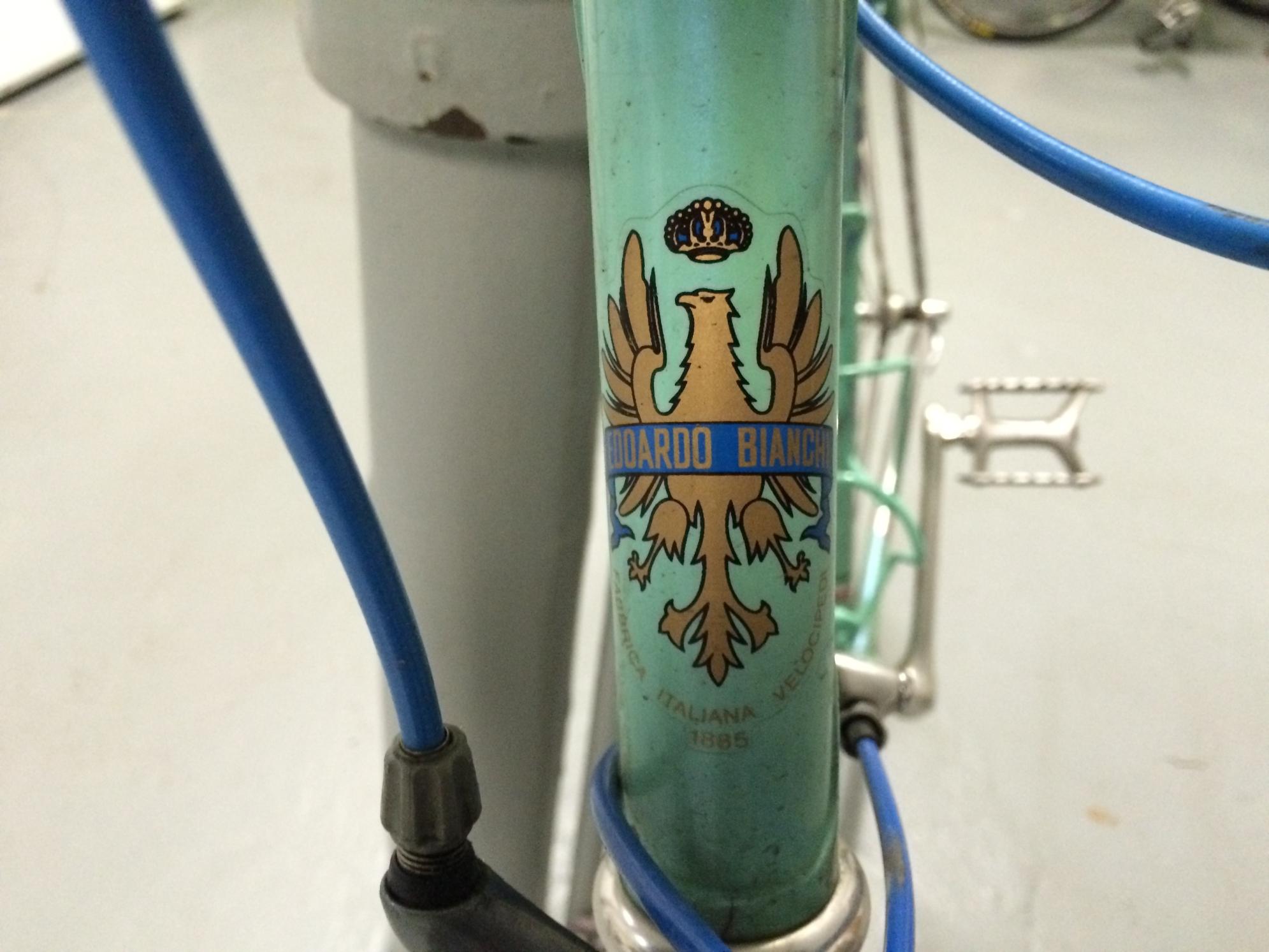 Bianchi Teal