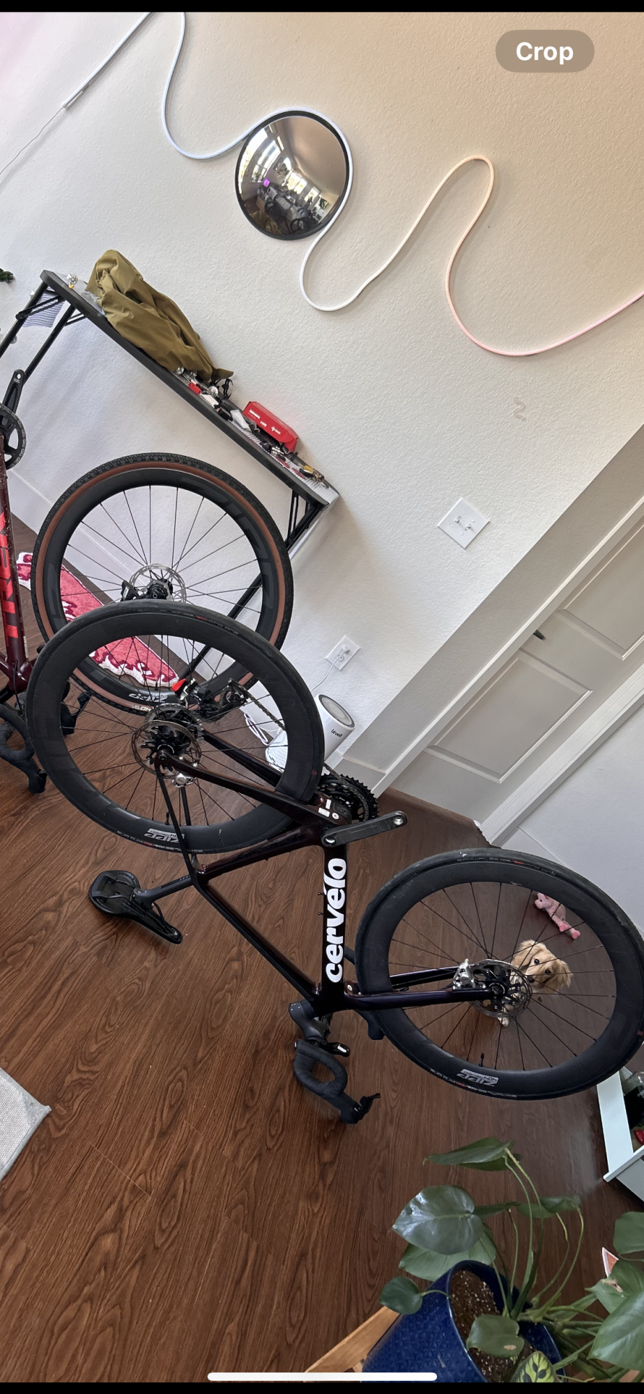 2024 Cervélo R5 Black and Red